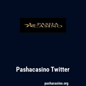 Pashacasino Twitter